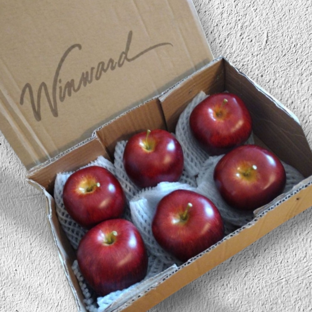 Winward Apple Red Delicious Set of 6 realistic hand-painted Artificial Fruit